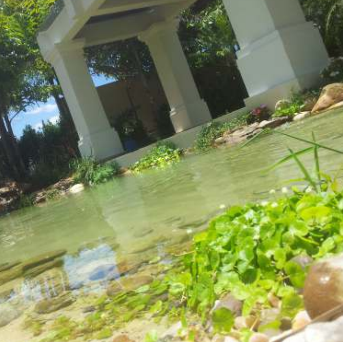 Oasis Tropical