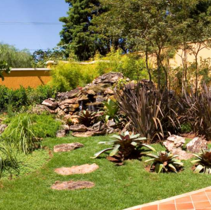 Oasis Tropical