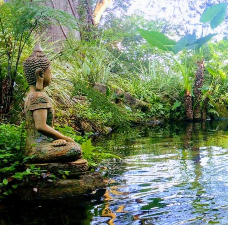 Lagos Zen
